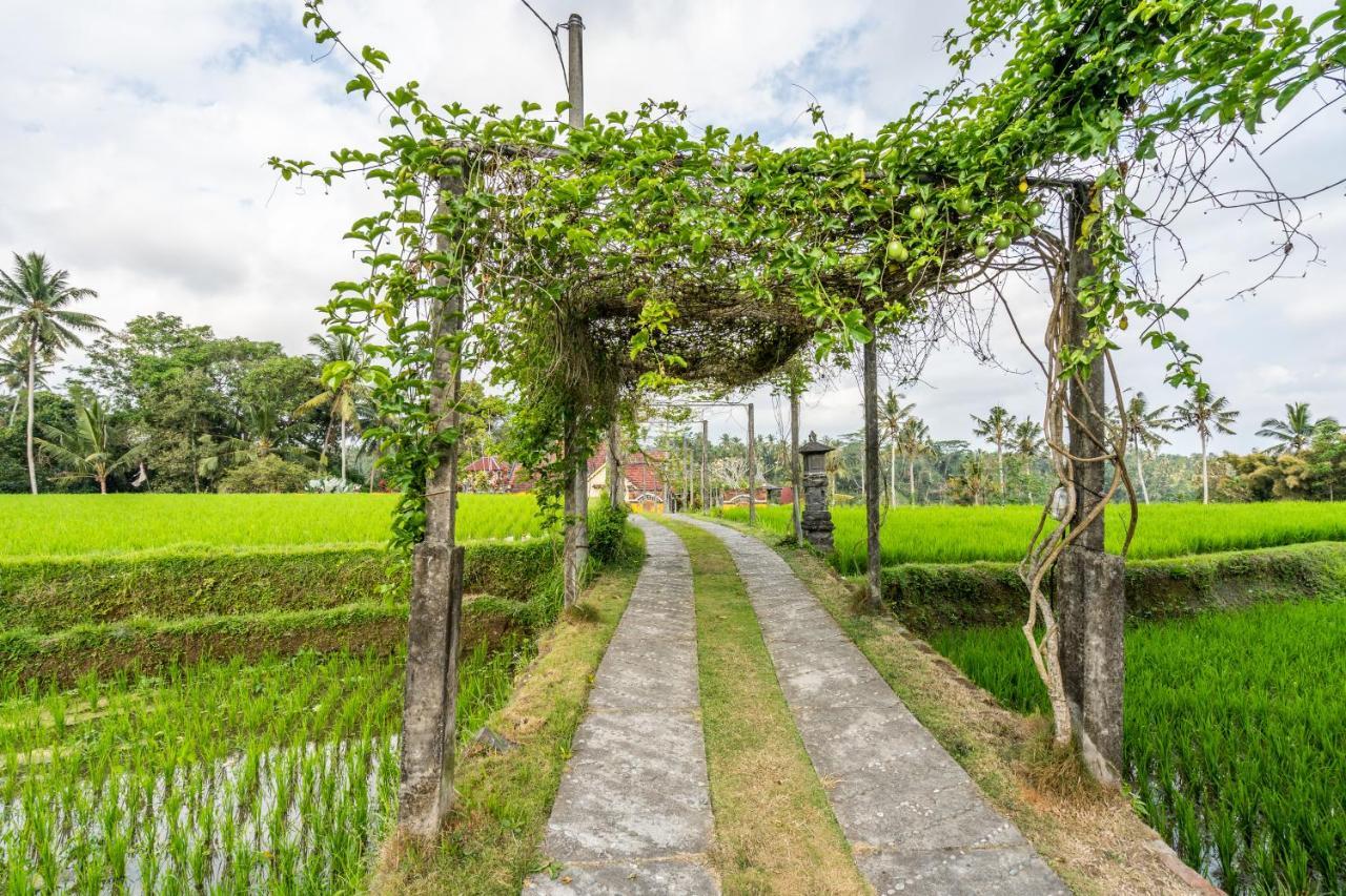 Tirta Asri Ubud Villa Exterior foto